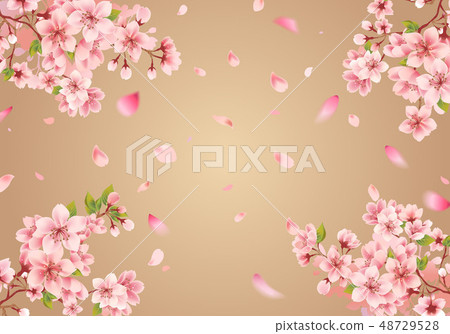 Cherry background material Cherry background material 48729528