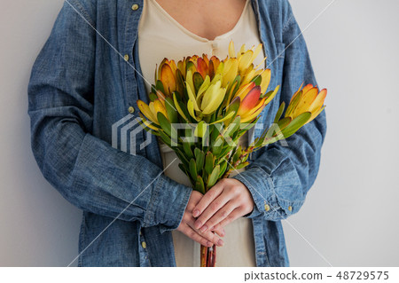 Female hands holding bouquet of Leucadendron  48729575