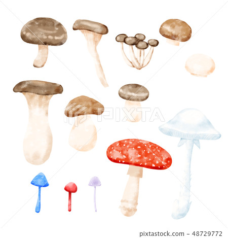 蘑菇分類材料 48729772