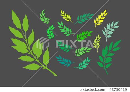 Laurel branches Laurel branches 48730419