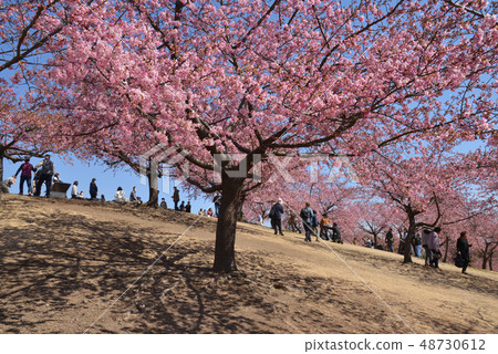 Isorishi市民的停泊公園 48730612