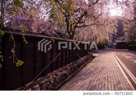 Dead weather at Senboku shrine in Akita Prefecture Sakura Birch Trading House 's black fence Dead weather at Senboku shrine in Akita Prefecture Sakura Birch Trading House 's black fence 48731002