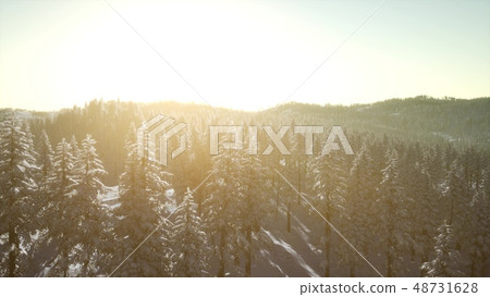 Colorful Winter Sunrise in the Mountains Colorful Winter Sunrise in the Mountains 48731628