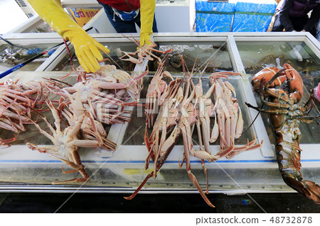 Yongdeok Daege Yongdeok Daege 48732878