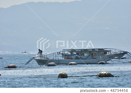 Landscape of a crew cleaning the ship after picking up the farmed nori seaweed 48734458