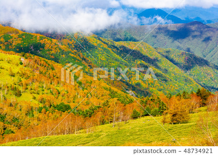 Autumn of Utsukushigahara Plateau [Nagano Prefecture] 48734921