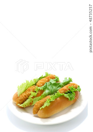 Croquette sand white background Croquette sand white background 48735257