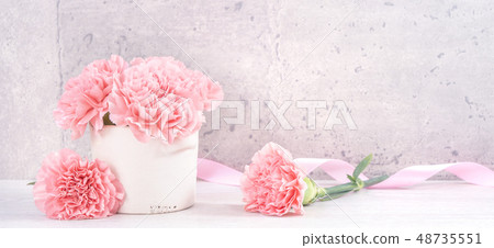 Mother's Day Carnation Gifts カーネーション 清水模 モックアップ Mother's Day carnation 48735551
