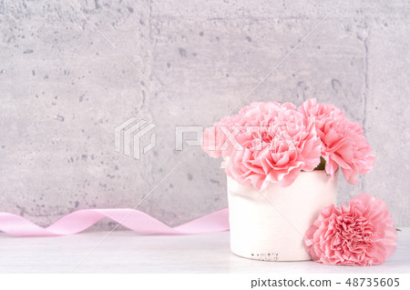 Mother's Day Carnation Gifts カーネーション 清水模 モックアップ Mother's Day carnation 48735605