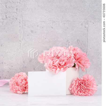 Mother's Day Carnation Gifts カーネーション 清水模 モックアップ Mother's Day carnation Mother's Day Carnation Gifts カーネーション 清水模 モックアップ Mother's Day carnation 48735606