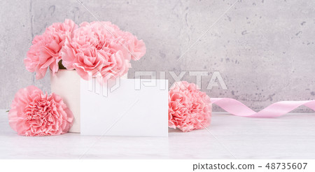 Mother's Day Carnation Gifts カーネーション 清水模 モックアップ Mother's Day carnation Mother's Day Carnation Gifts カーネーション 清水模 モックアップ Mother's Day carnation 48735607