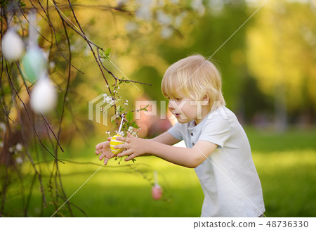 little boy hunts for easter egg on branch little boy hunts for easter egg on branch 48736330