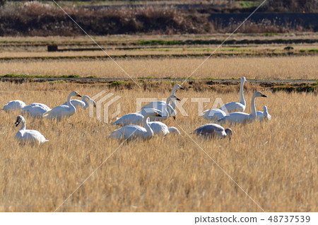 At the venue At the venue 48737539