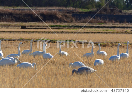 At the venue At the venue 48737540