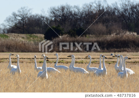 At the venue 48737816