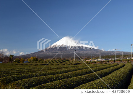 富士和茶園 48738609