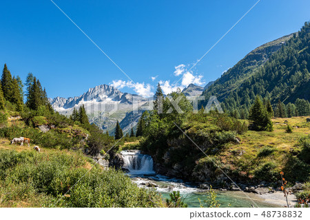 Adamello Brenta National Park - Trentino Italy 48738832