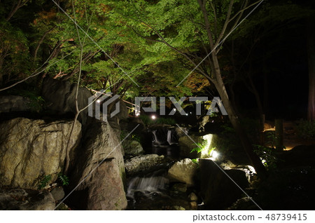 平成30天鵝花園秋葉 平成30天鵝花園秋葉 48739415