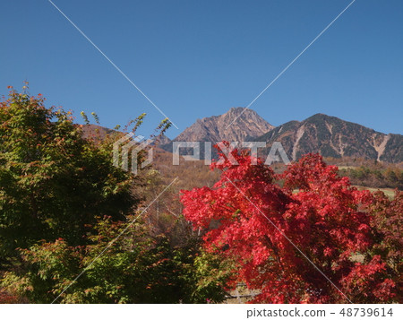 Yatsugatake in autumn leaves Yatsugatake in autumn leaves 48739614
