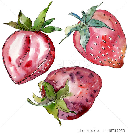 Strawberry healthy food in a watercolor style isolated. Watercolor background set. Isolated berry Strawberry healthy food in a watercolor style isolated. Watercolor background set. Isolated berry 48739953