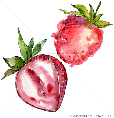 Strawberry healthy food in a watercolor style isolated. Watercolor background set. Isolated berry Strawberry healthy food in a watercolor style isolated. Watercolor background set. Isolated berry 48739955