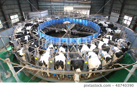 Rotary type milking robot Rotary type milking robot 48740390