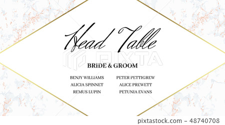 Head Table Bride and groom template card 48740708