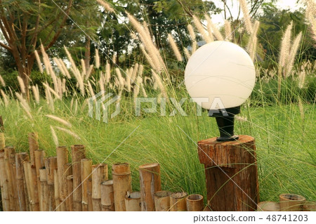 Decorative lamp pole in park Decorative lamp pole in park 48741203