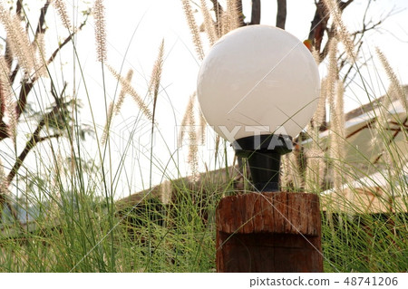 Decorative lamp pole in park Decorative lamp pole in park 48741206