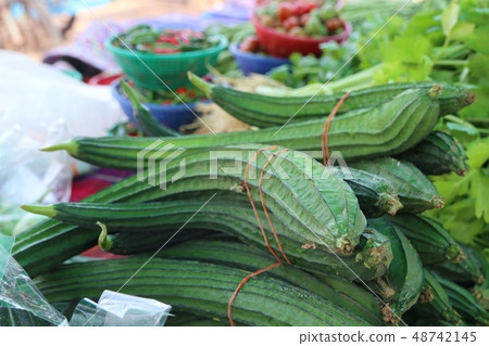 fresh luffa in market 48742145