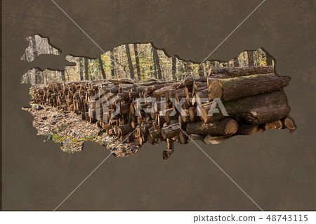Roughly outlined map of Turkey with load of logs 48743115