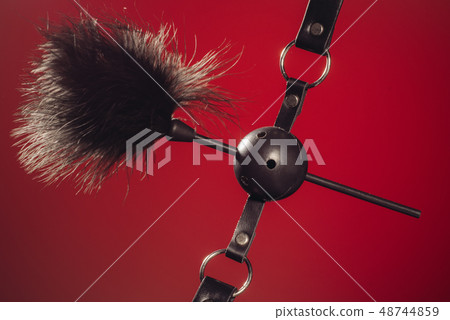 Feathered and ball gag fetish equipment isolated Feathered and ball gag fetish equipment isolated 48744859