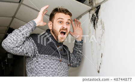 Bearded man in shock from the black mold on the Bearded man in shock from the black mold on the 48744877