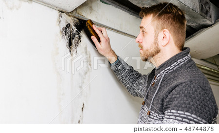 Bearded man removes black mold on the wall after Bearded man removes black mold on the wall after 48744878