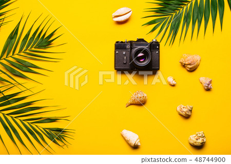 Flat lay traveler accessories with palm leaf, Flat lay traveler accessories with palm leaf, 48744900