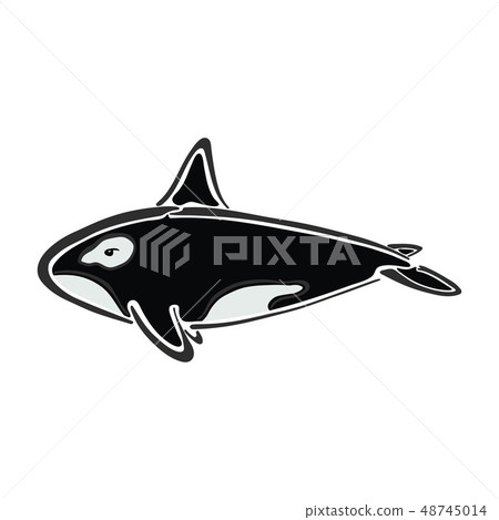 Killer whale character abstract ink hand drawn vector logo cartoon. Color illustration. Marine wild 48745014