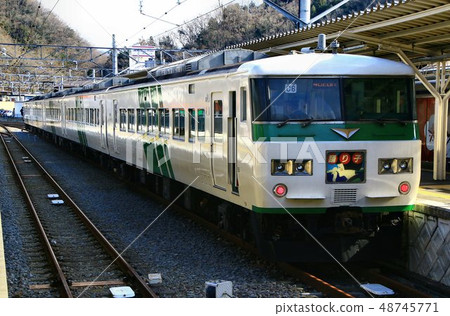 在伊豆的舞者/修善寺站停止的185系列/限定表演舞者 48745771