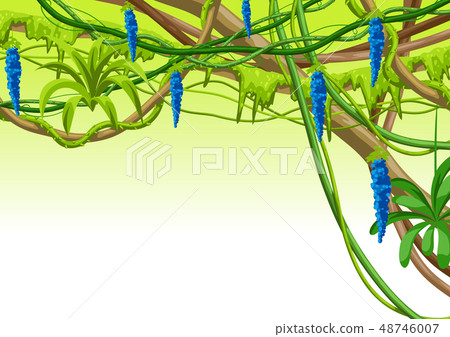 Twisted wild lianas branches background. Jungle vines plants. Twisted wild lianas branches background. Jungle vines plants. 48746007