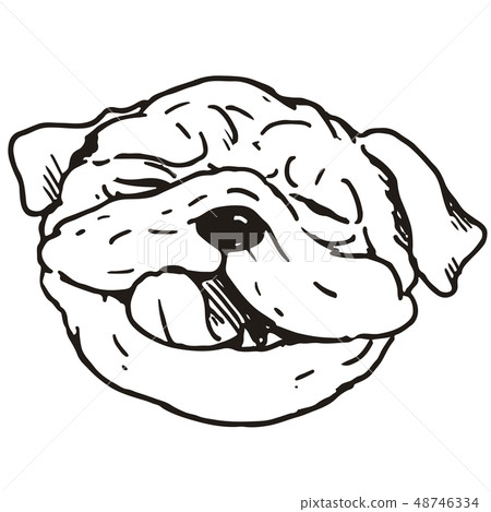 Pug Monochrome Stock Illustration 48746334 Pixta