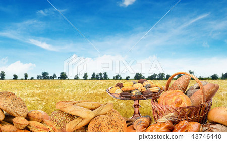 Freshly baked breads on background wheat field. 48746440