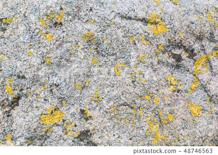 Abstract blurred stone background with moss Abstract blurred stone background with moss 48746563