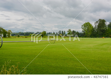 Green lawn with irrigation system over the field on cloudy summer day Green lawn with irrigation system over the field on cloudy summer day 48747381