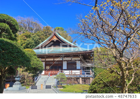 [Kanagawa Prefecture] Hokokuji Temple under sunny weather 48747633