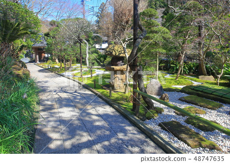 [Kanagawa Prefecture] Hokokuji Temple under sunny weather 48747635