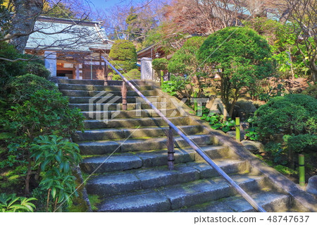 [Kanagawa Prefecture] Hokokuji Temple under sunny weather 48747637