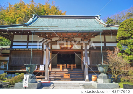 [神奈川縣]天氣晴朗的北國寺主殿 48747640
