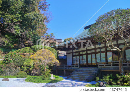 [Kanagawa] Dry landscape of Hokokuji Temple under sunny weather 48747643