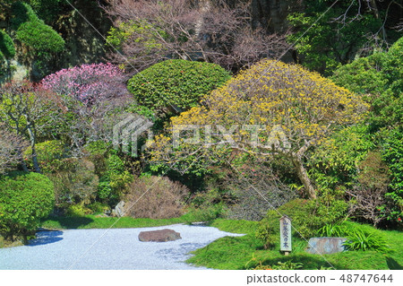 [神奈川縣]晴天下北國寺的干旱景觀 48747644