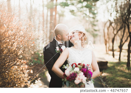 Romantic, fairytale, happy newlywed couple hugging and kissing in a park, trees in background Romantic, fairytale, happy newlywed couple hugging and kissing in a park, trees in background 48747937