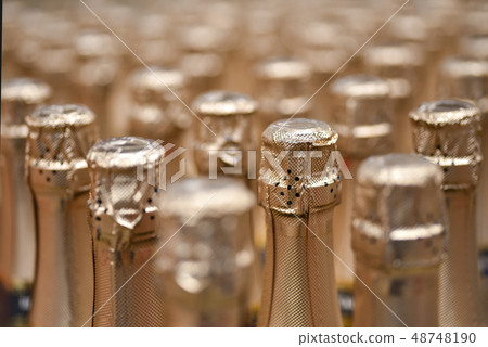 Sparkling wine bottles, winery, shop, holiday 48748190